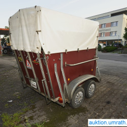 kg-sha-boeckmann-t2v-pferdeanh-aukt-br-05.jpg