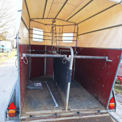 kg-sha-boeckmann-t2v-pferdeanh-aukt-br-11.jpg