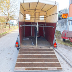 kg-sha-boeckmann-t2v-pferdeanh-aukt-br-12.jpg